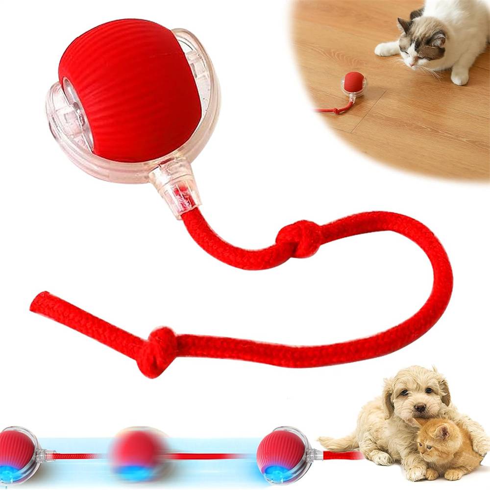 DtopbuyAge - Balle roulante interactive pour chiens(Rouge) DtopbuyAge - Image 1