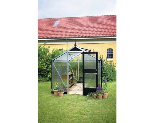 Juliana - Serre en polycarbonate 6,6 m² Compact, aluminium - Juliana - Image 4