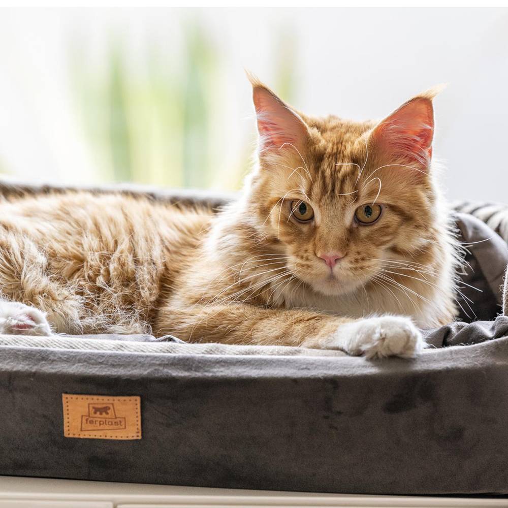 Ferplast - Couchage Rembourré Lit pour Chiens et Chats HARRIS 65 Lavable, avec Coussin, Tweed et Velours, Beige - Imagen 5