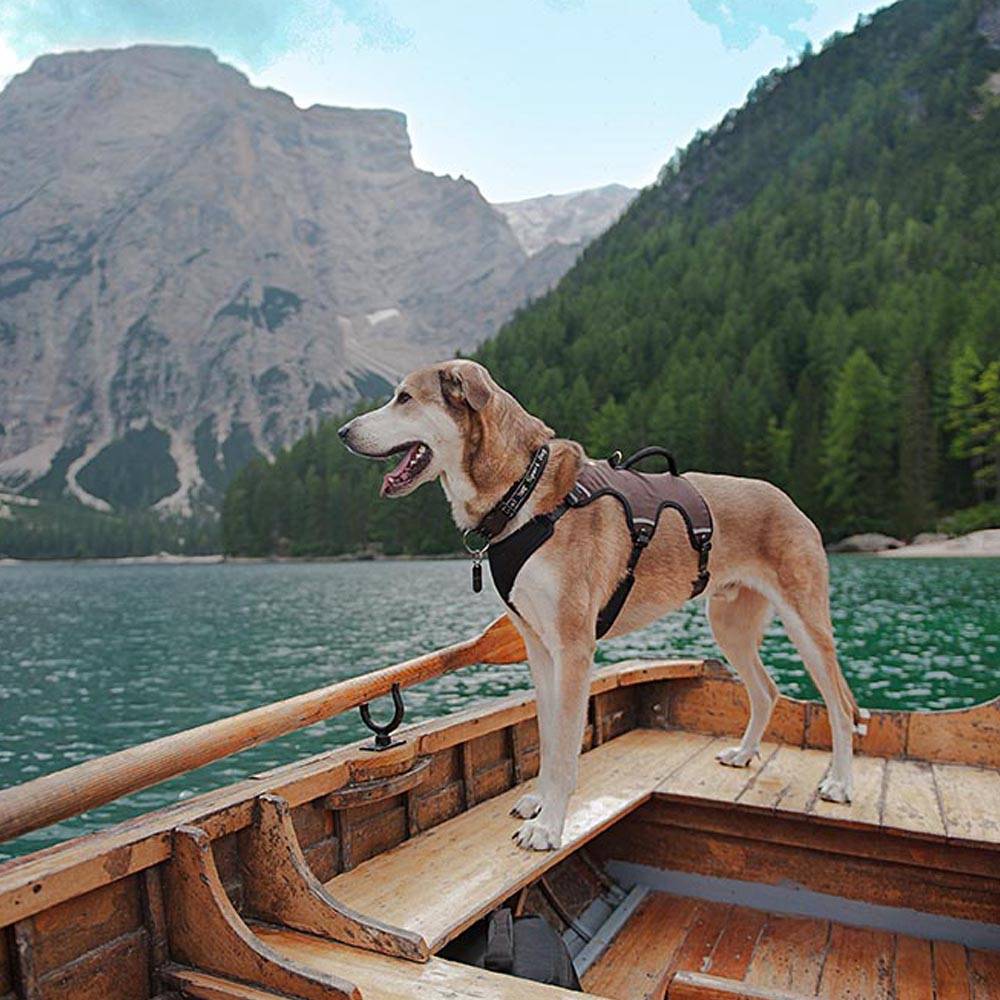 Ferplast - Ferplast Harnais Chien Réglable M Poitrail 55-65 cm avec Poignée, Marron - Imagen 2
