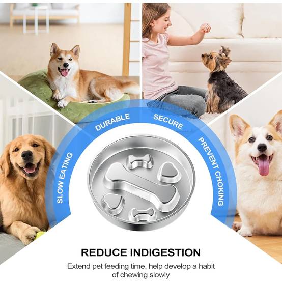 DtopbuyAge - Gamelle Anti-Glouton pour Chien - INOX Antidérapant DtopbuyAge - Image 3
