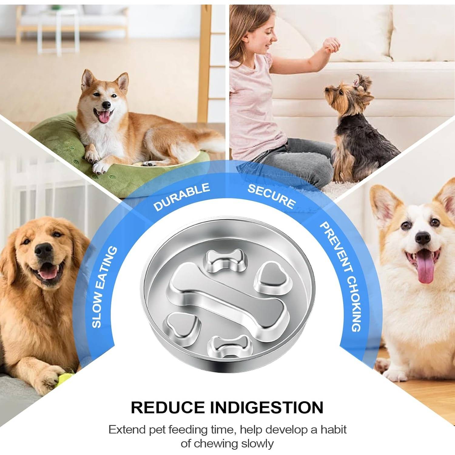 DtopbuyAge - Gamelle Anti-Glouton pour Chien - INOX Antidérapant DtopbuyAge - Image 3