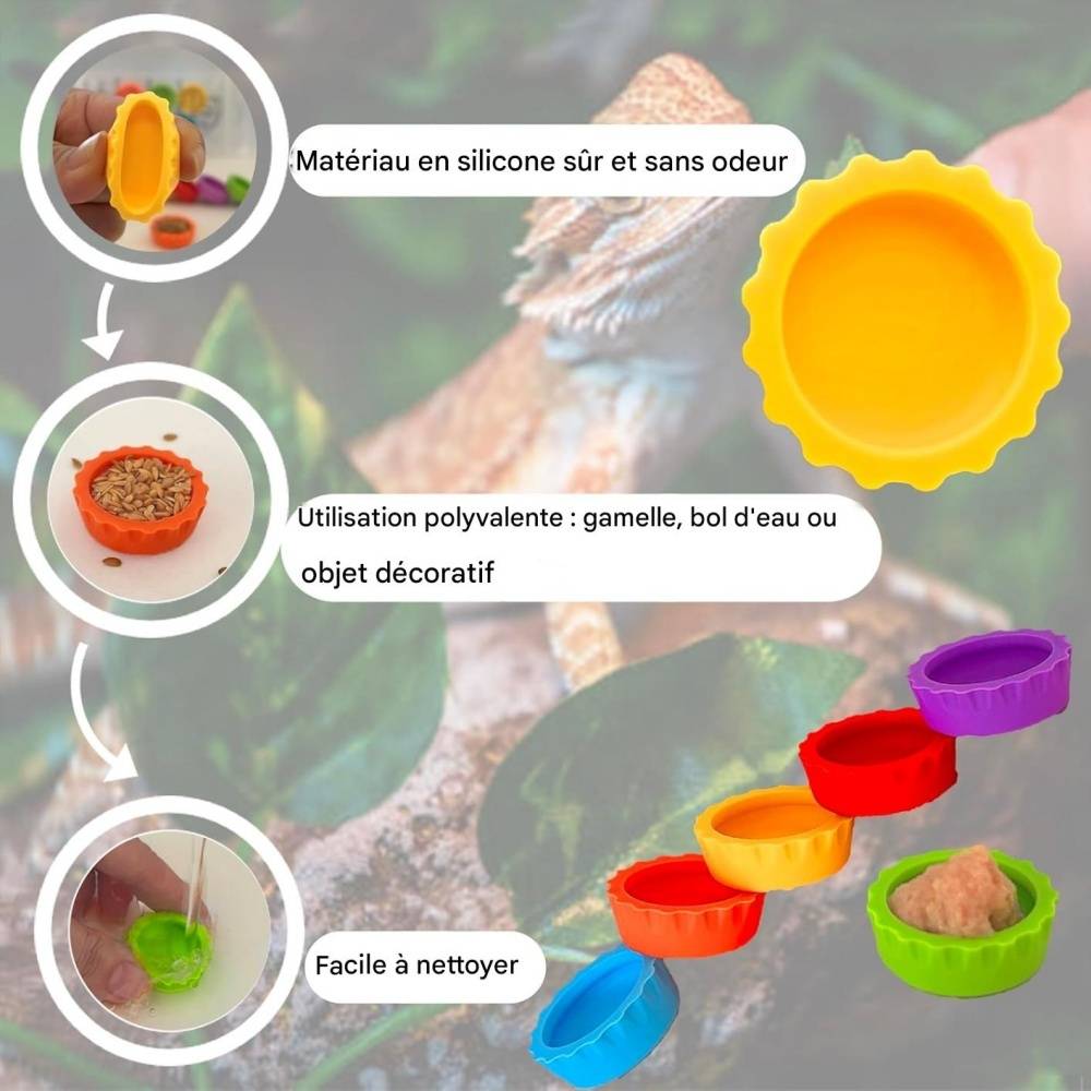 Lot de 6 bols colorés pour nourriture et eau pour petits animaux ...