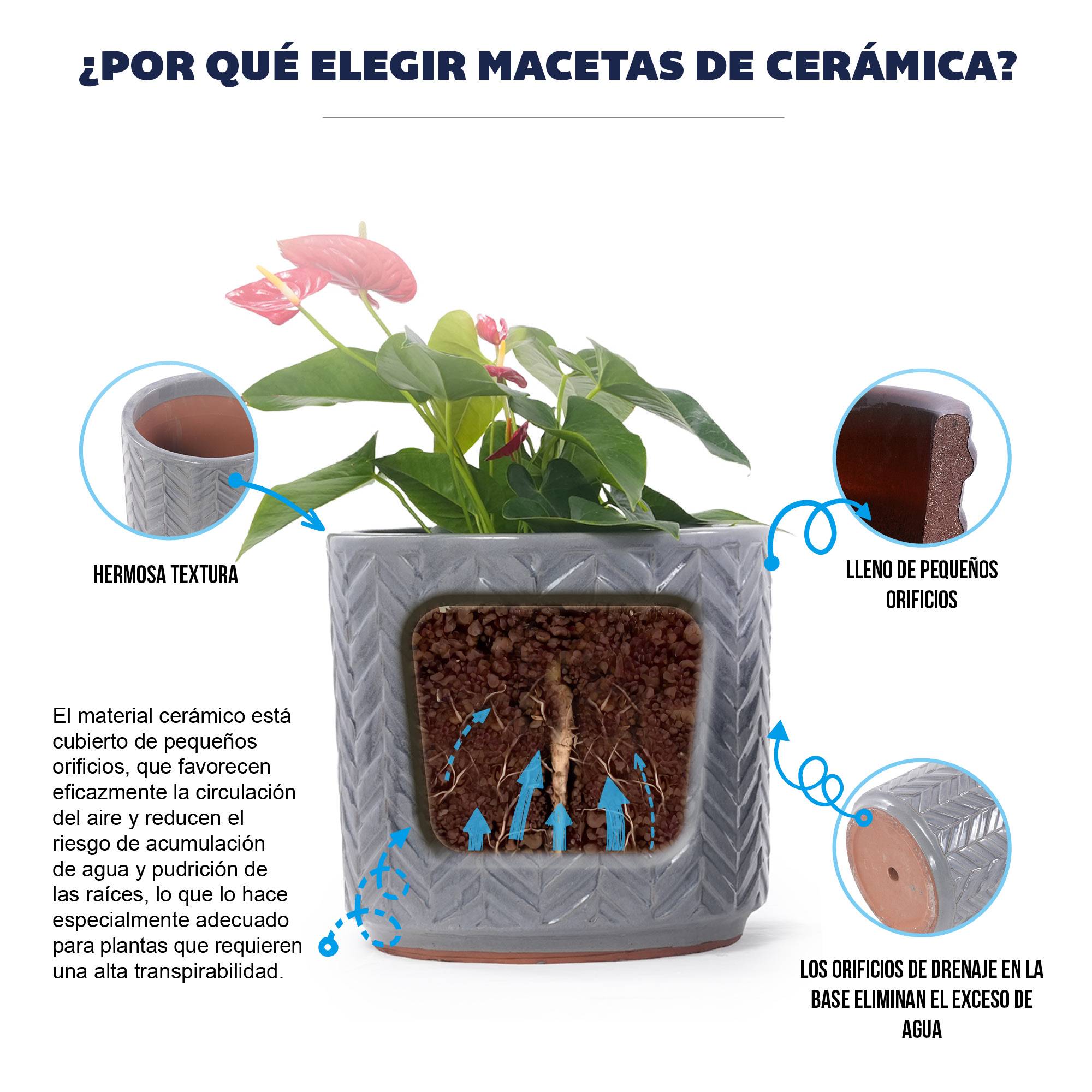 ComfortXL - Pot de fleurs céramique Ø20 cm gris cendre brillant pour succulentes avec drainage - ComfortXL Outdoor Living - Image 7