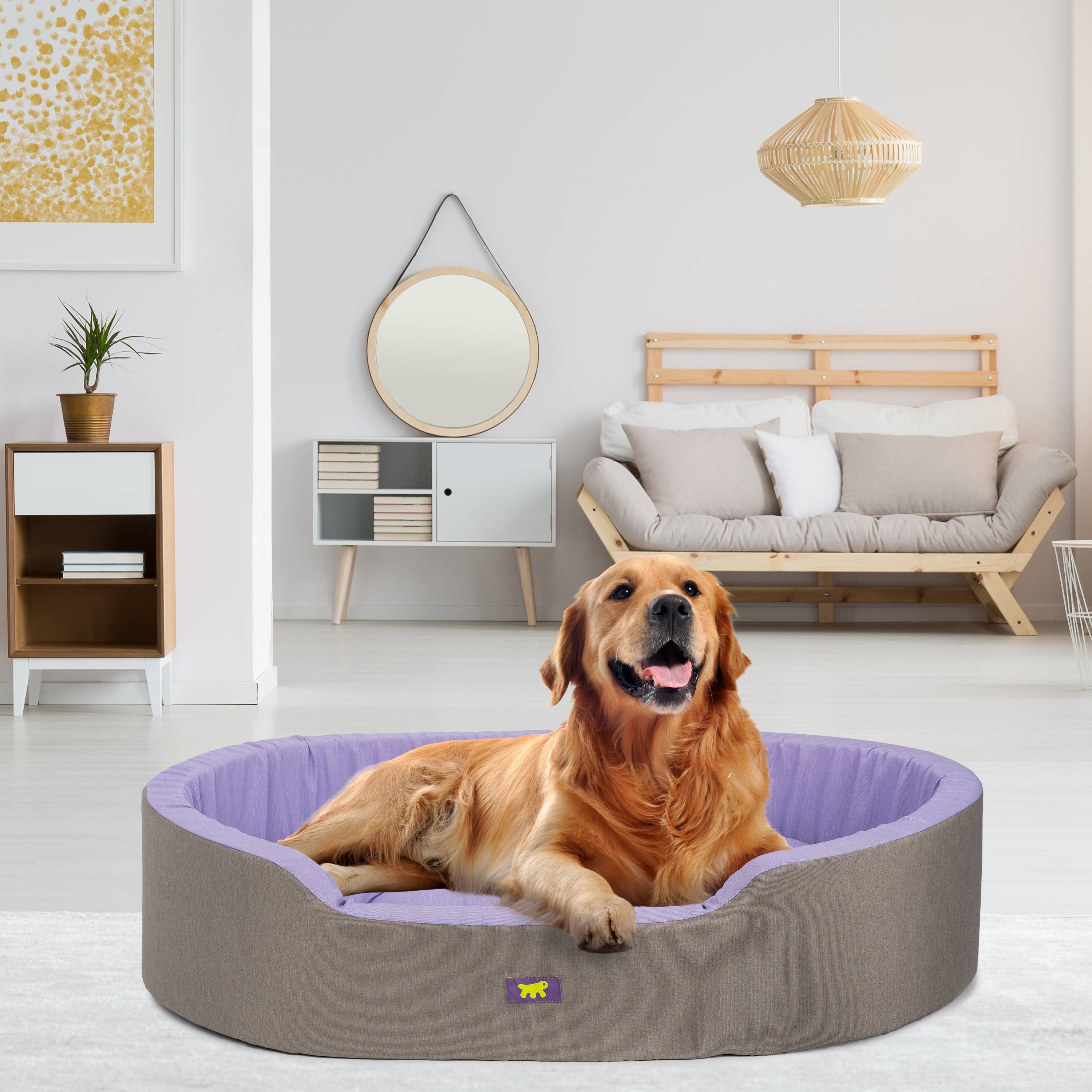 Ferplast - Ferplast Panier Chien Dandy, Coussin Amovible et Lavable, Housse en Coton avec Rembourrage Doux, Grand Lit pour Chien, 110 x 70 x H 23 cm, Lilas - Imagen 3