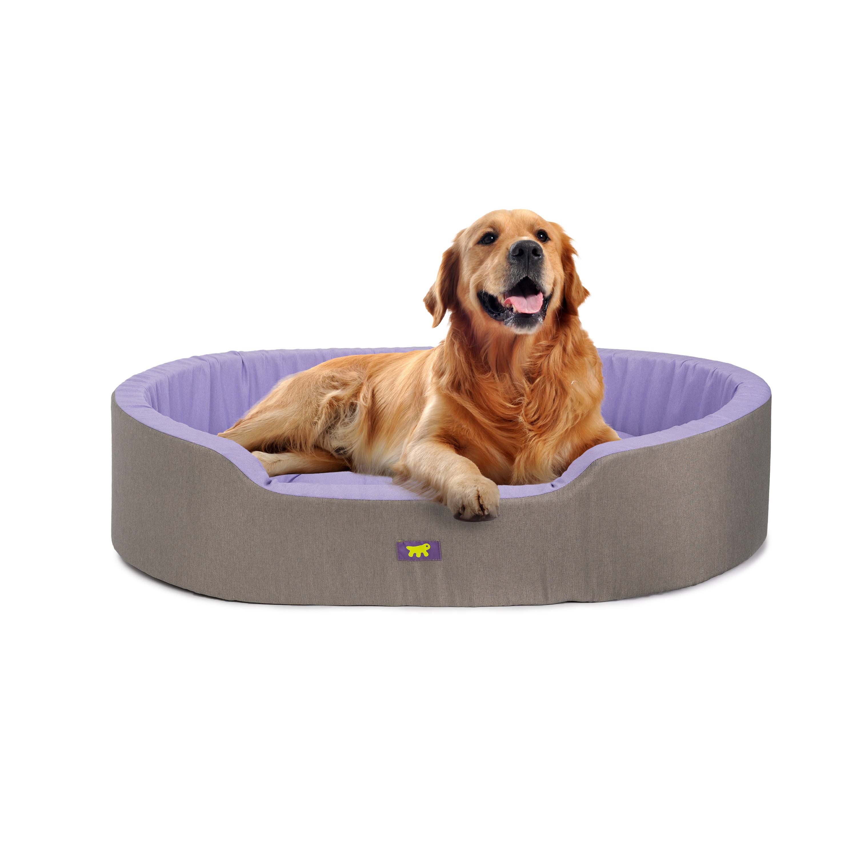 Ferplast - Ferplast Panier Chien Dandy, Coussin Amovible et Lavable, Housse en Coton avec Rembourrage Doux, Grand Lit pour Chien, 110 x 70 x H 23 cm, Lilas - Imagen 4