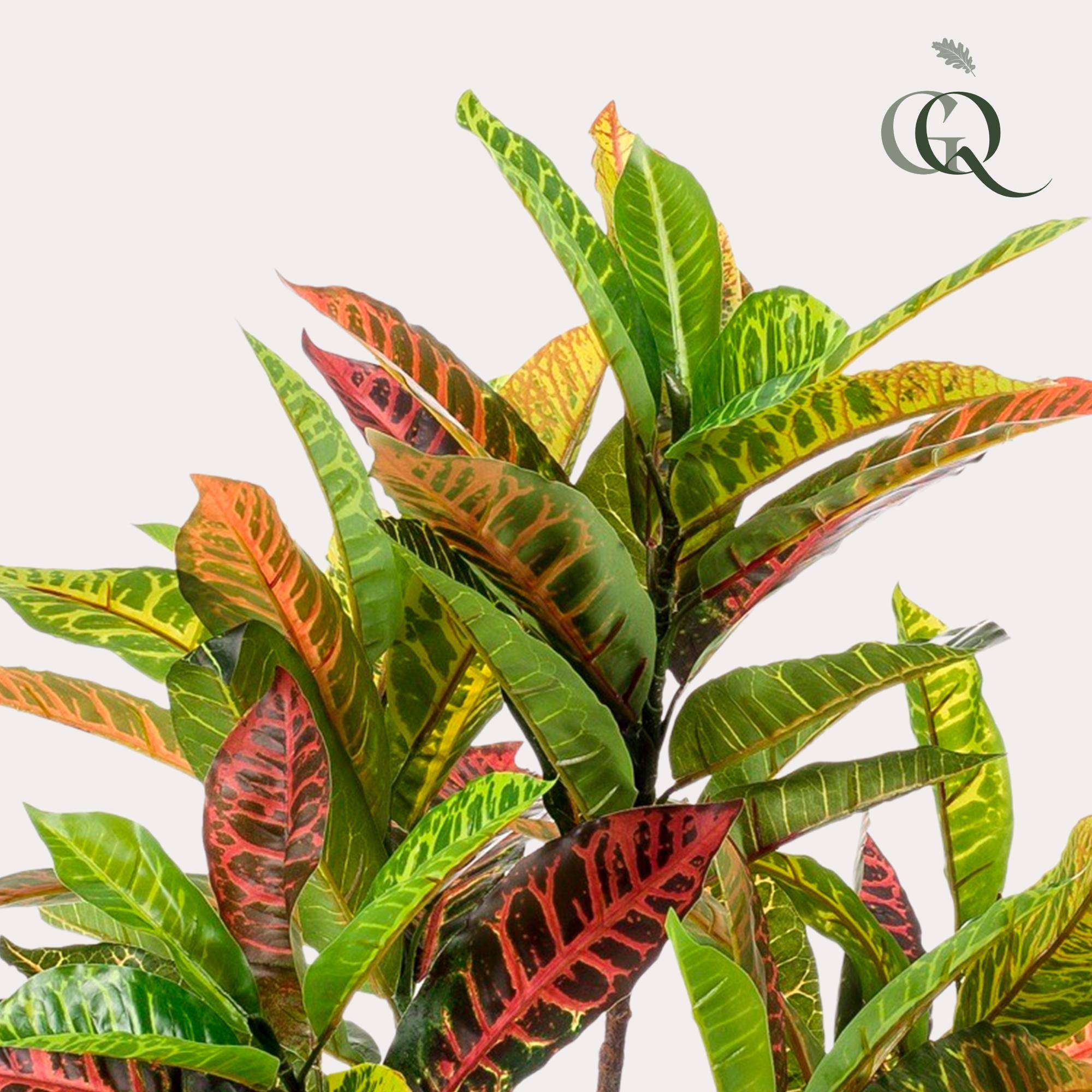 La Green Touch - Croton Codiaeum plante artificielle - h110cm, Ø12cm- La Green Touch - Imagen 2
