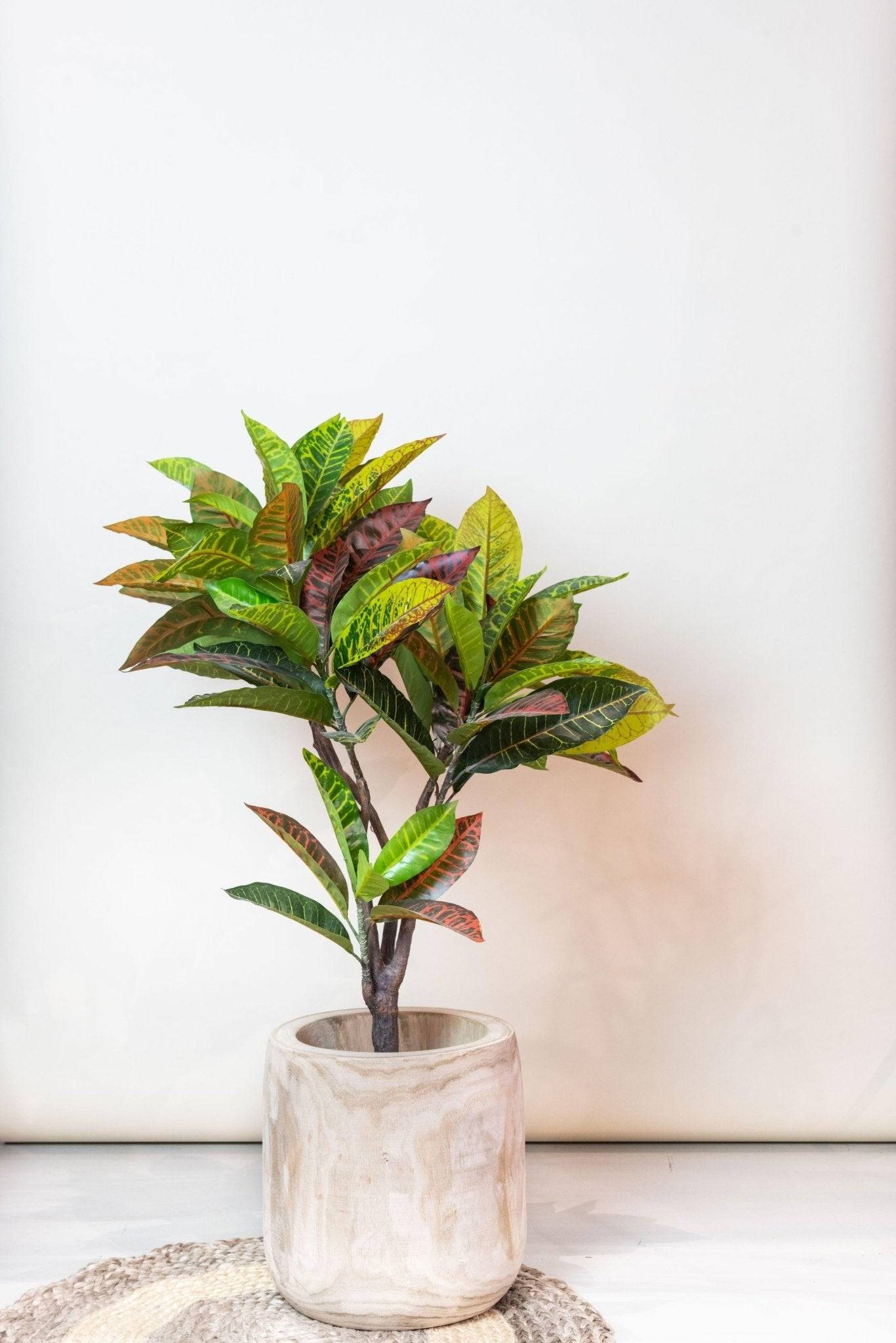 La Green Touch - Croton Codiaeum plante artificielle - h110cm, Ø12cm- La Green Touch - Imagen 5