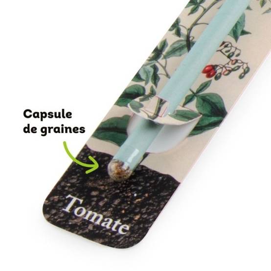Radis et Capucine - Radis et Capucine - Crayon à planter avec graines - Fleurs en mélange - Image 3