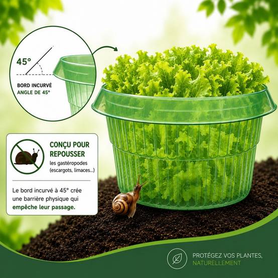 SOLU'LIMACES- 5 Cloches Barrières Limaces et Escargots- Salades, Fraisiers, Choux -Ø 23 cm - Image 2