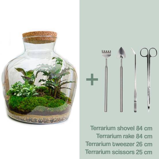 Diy Terrarium - D30 H30cm - Image 1
