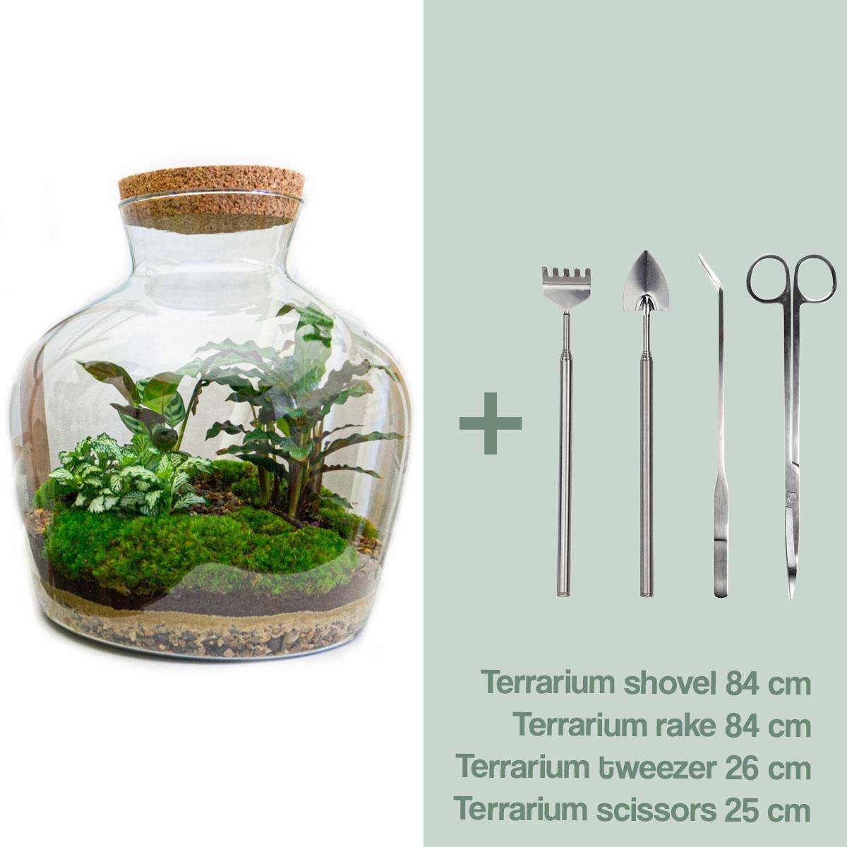 Diy Terrarium - D30 H30cm - Image 1