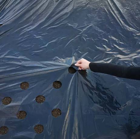 Nature - Film de paillage UNIVERSEL, Dimensions 1,40 x 10 m - Imagen 1