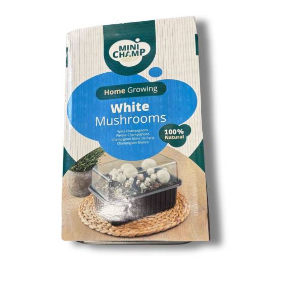 mini champ - Kit culture champignons de Paris Blanc Minichamp 3 litres - Imagen 1