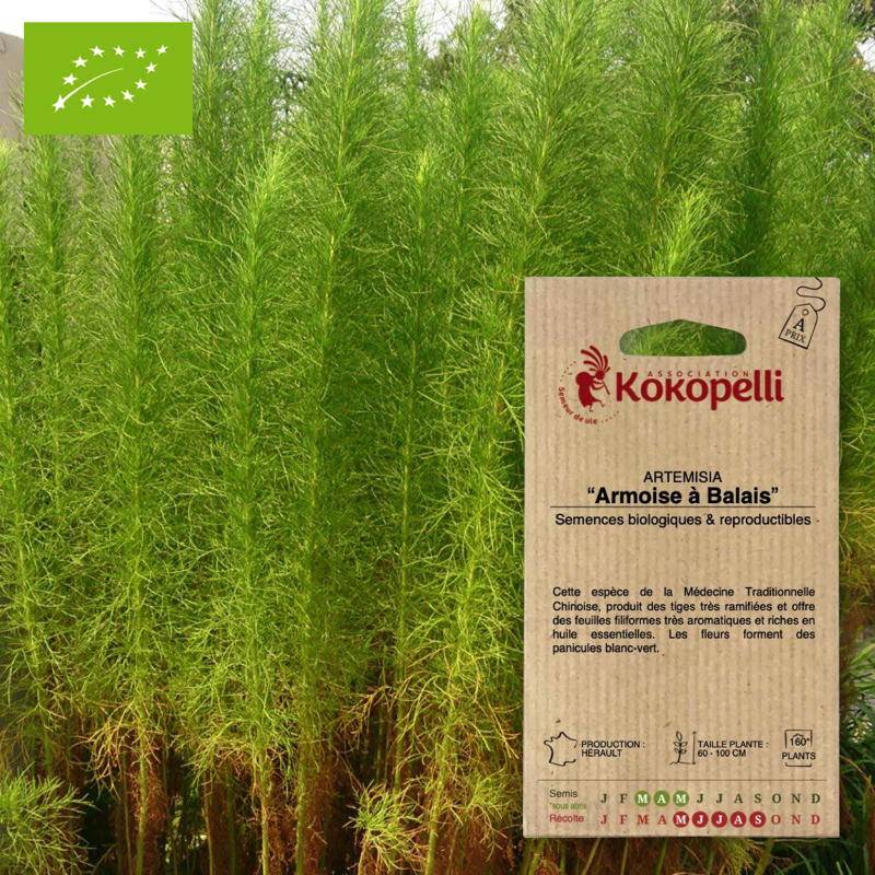 Artemisia Armoise à balais- Graines bio à semer - Imagen 1
