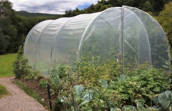 Serre tunnel de jardin - 18m² - 3 x 6 m - pieds arrondis - polyéthylène haute densité - 2 portes pivotantes - LES SERRES TONNEAU - Image 3