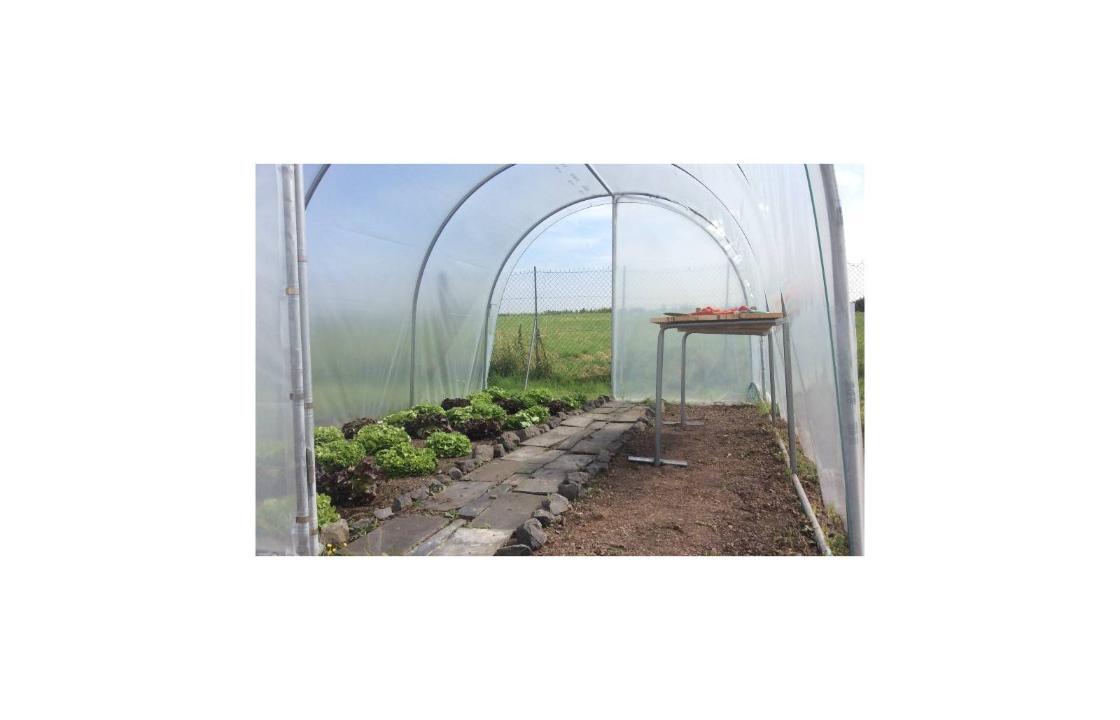 Serre tunnel de jardin - 18m² - 3 x 6 m - pieds arrondis - polyéthylène haute densité - 2 portes pivotantes - LES SERRES TONNEAU - Image 7
