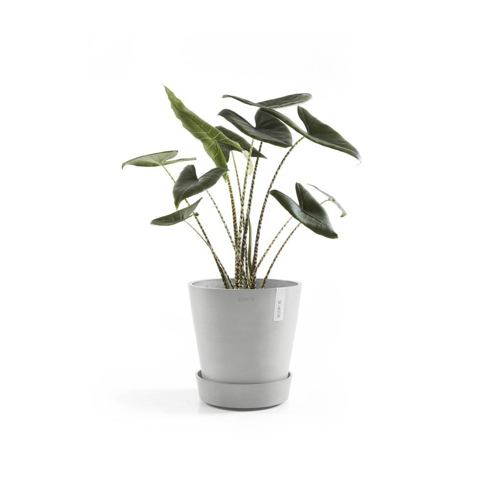 Ecopots - Support à roulettes Wheels 60 Blanc Gris - Ø 51 x H. 12,4 cm ECOPOTS - Imagen 2