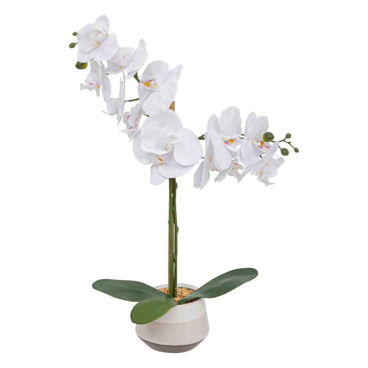 Plante artificielle Orchidée Blanche pot en céramique bicolore H 52 cm - Image 1