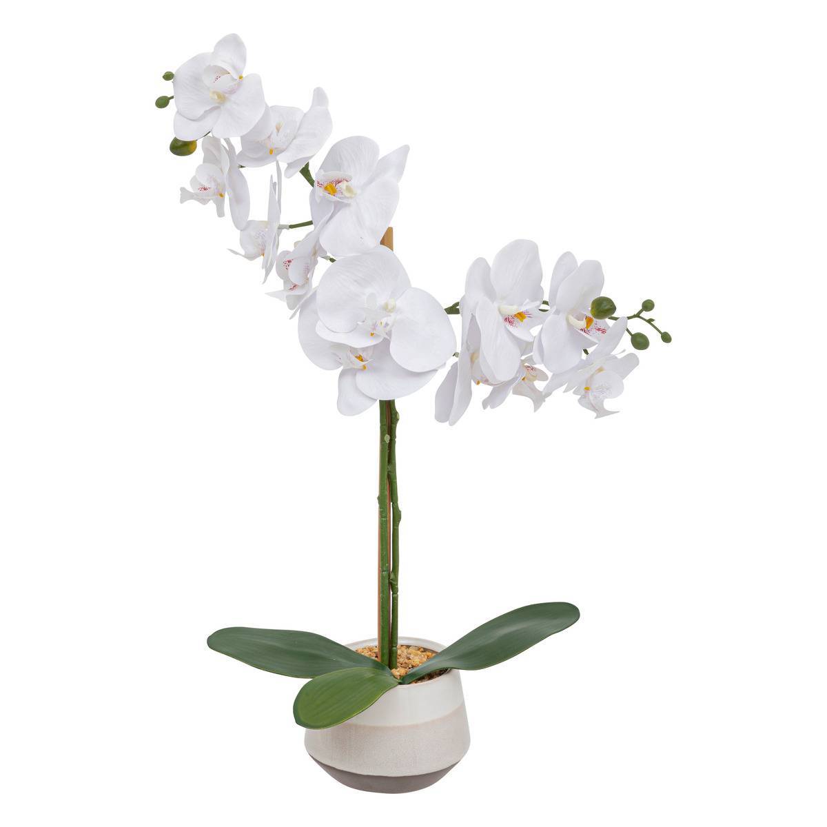 Atmosphera - Orchidée artificielle "Clera" H52cm blanc - Atmosphera Créateur d'intérieur - Image 1