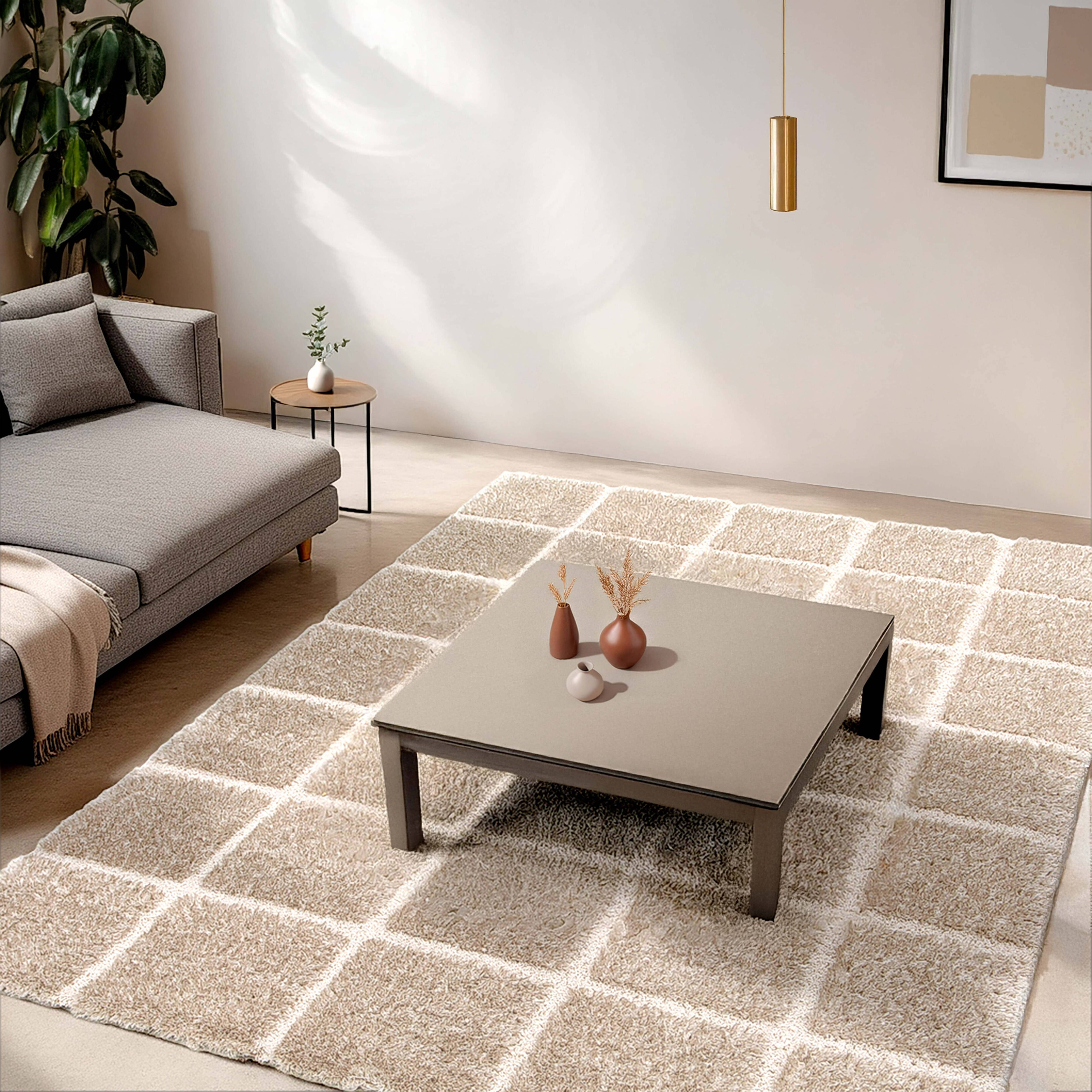 Oviala - Tapis rectangulaire à poils longs style shaggy taupe 120 x 170 cm Chessy - Oviala - Imagen 2