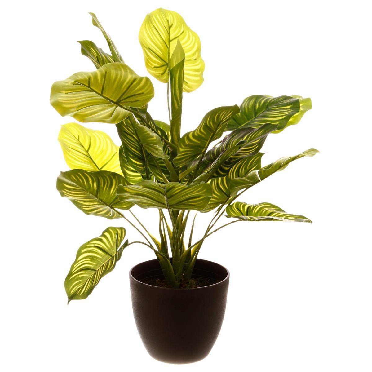 Atmosphera - Plante artificielle pot ciment H45cm - Atmosphera Créateur d'intérieur - Imagen 1