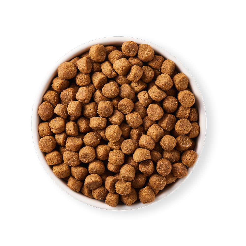 Yarrah - Croquettes Biologiques Poulet & Poisson pour Chien - Imagen 4
