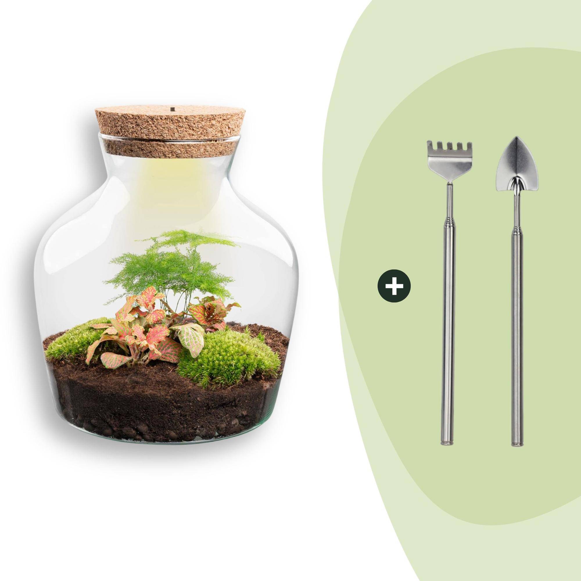 Terrarium à composer bouteille en verre recyclé - Ø20-H22cm - avec râteau et pelle - Terrarium DIY - Image 1