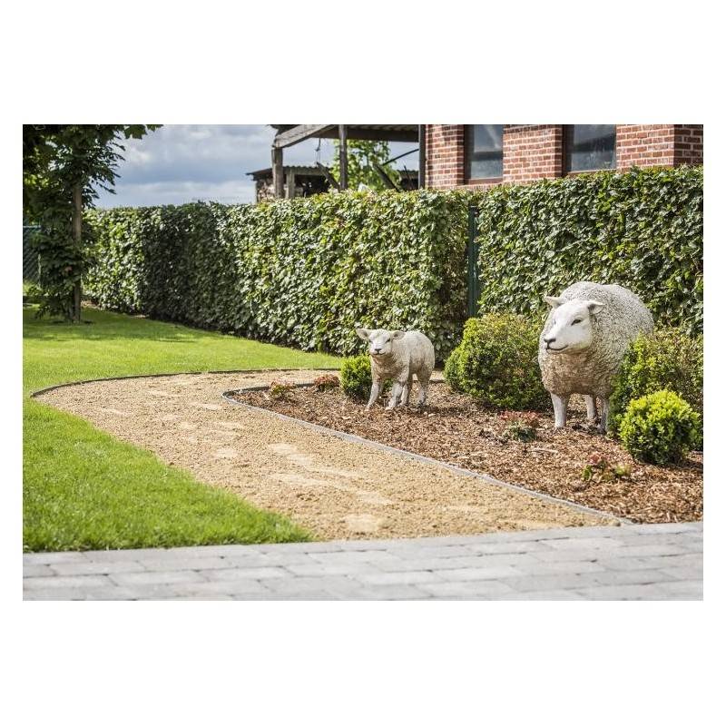 Ecolat Bordure de jardin 25 m x 19 cm rouleau - Gris  - ECOO - Imagen 5