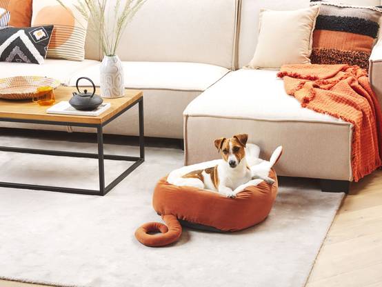 Beliani - Lit pour animal Velours Orange HASSA - 50x45x18- Beliani - Image 1