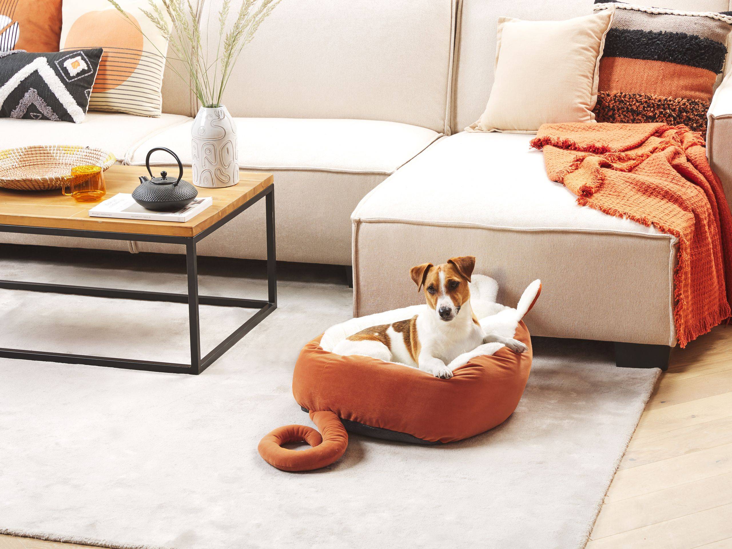 Beliani - Lit pour animal Velours Orange HASSA - 50x45x18- Beliani - Image 1