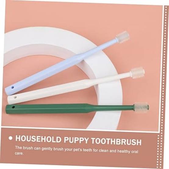 4 Pièces Pour Nettoyer Dents De Chat DtopbuyAge - Image 4