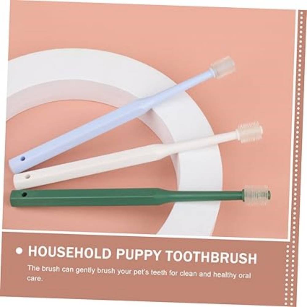 4 Pièces Pour Nettoyer Dents De Chat DtopbuyAge - Image 4