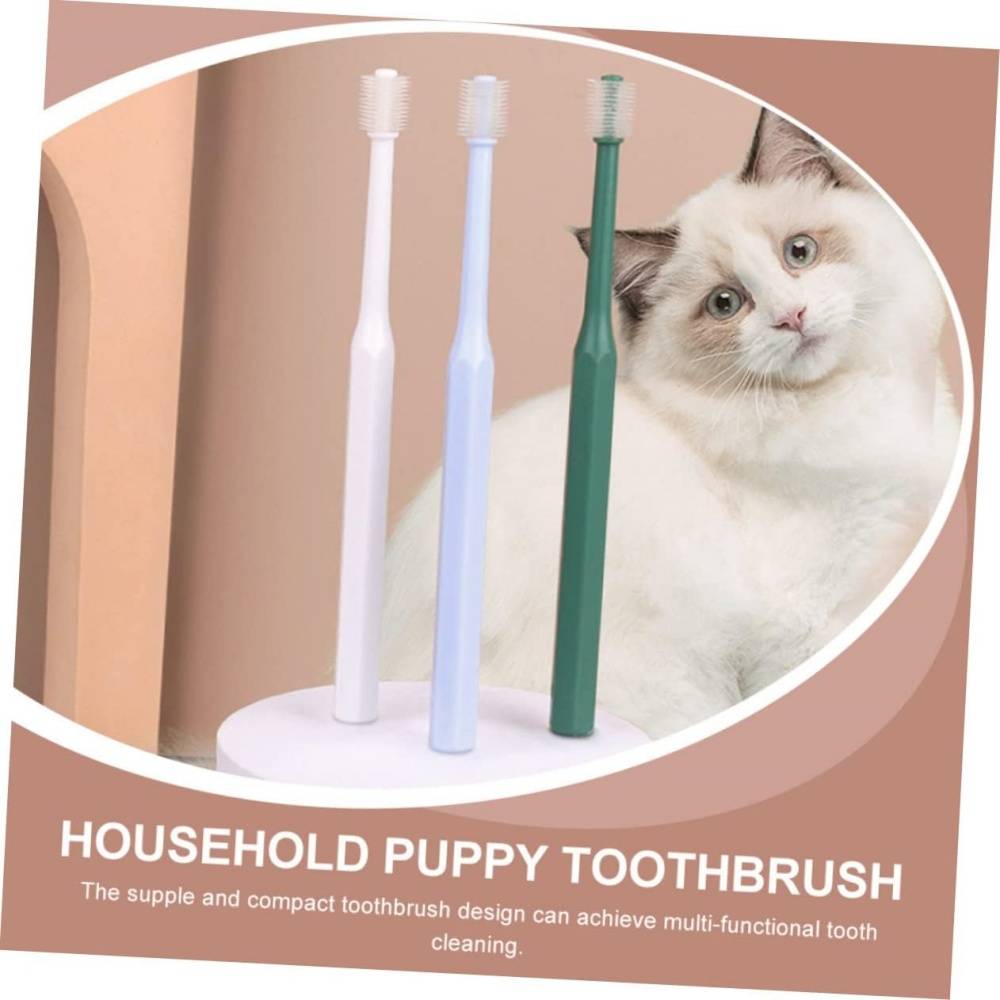 4 Pièces Pour Nettoyer Dents De Chat DtopbuyAge - Image 5