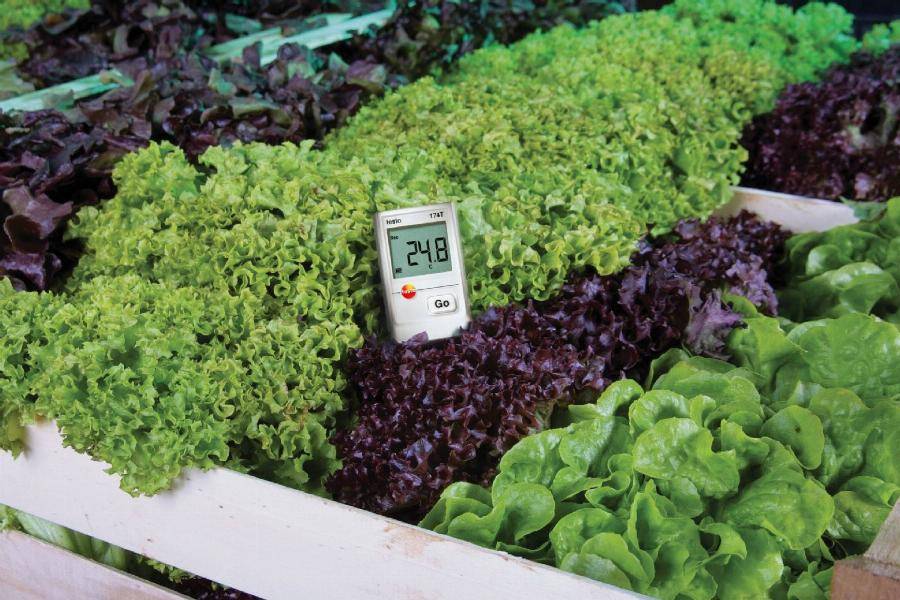 Mini-enregistreur de données pour la température avec USB 174T set - TESTO - 0572 0561 - Imagen 2