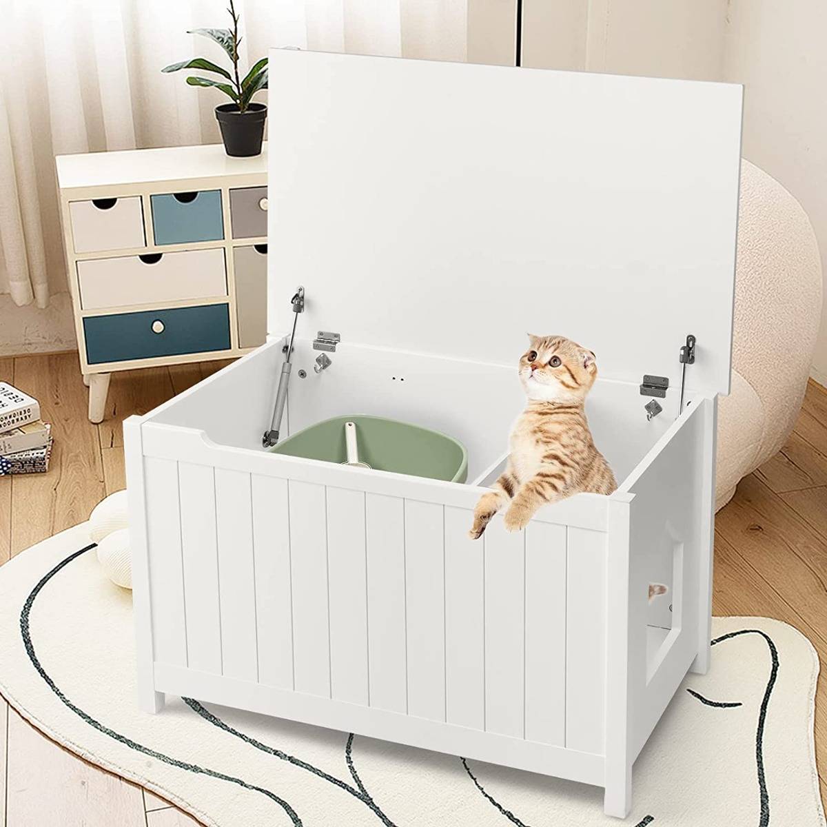 Boîte à litière pour Chat avec Ouverture Séparateur Amovible Tige de Gaz Crochets en Métal Pieds en Bois de Pin - Image 3