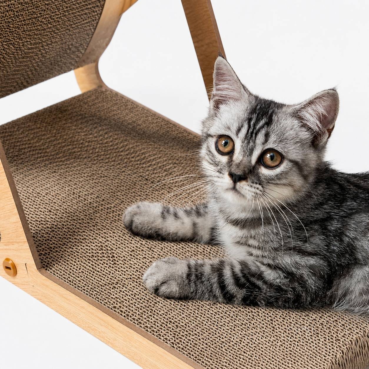 Grattoir Chat 2 en 1 Forme A Double Face Protège Sofa Compatible aux Chats ≤5kg - Image 8