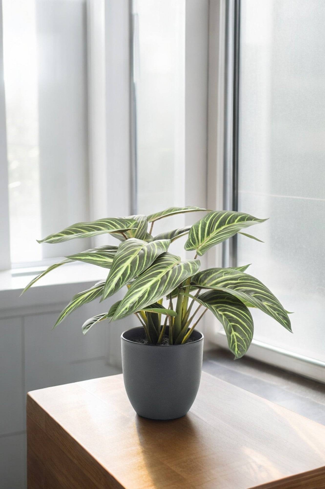 La Green Touch - Calathea Zebrina plante artificielle - h38cm, Ø15cm- La Green Touch - Imagen 1