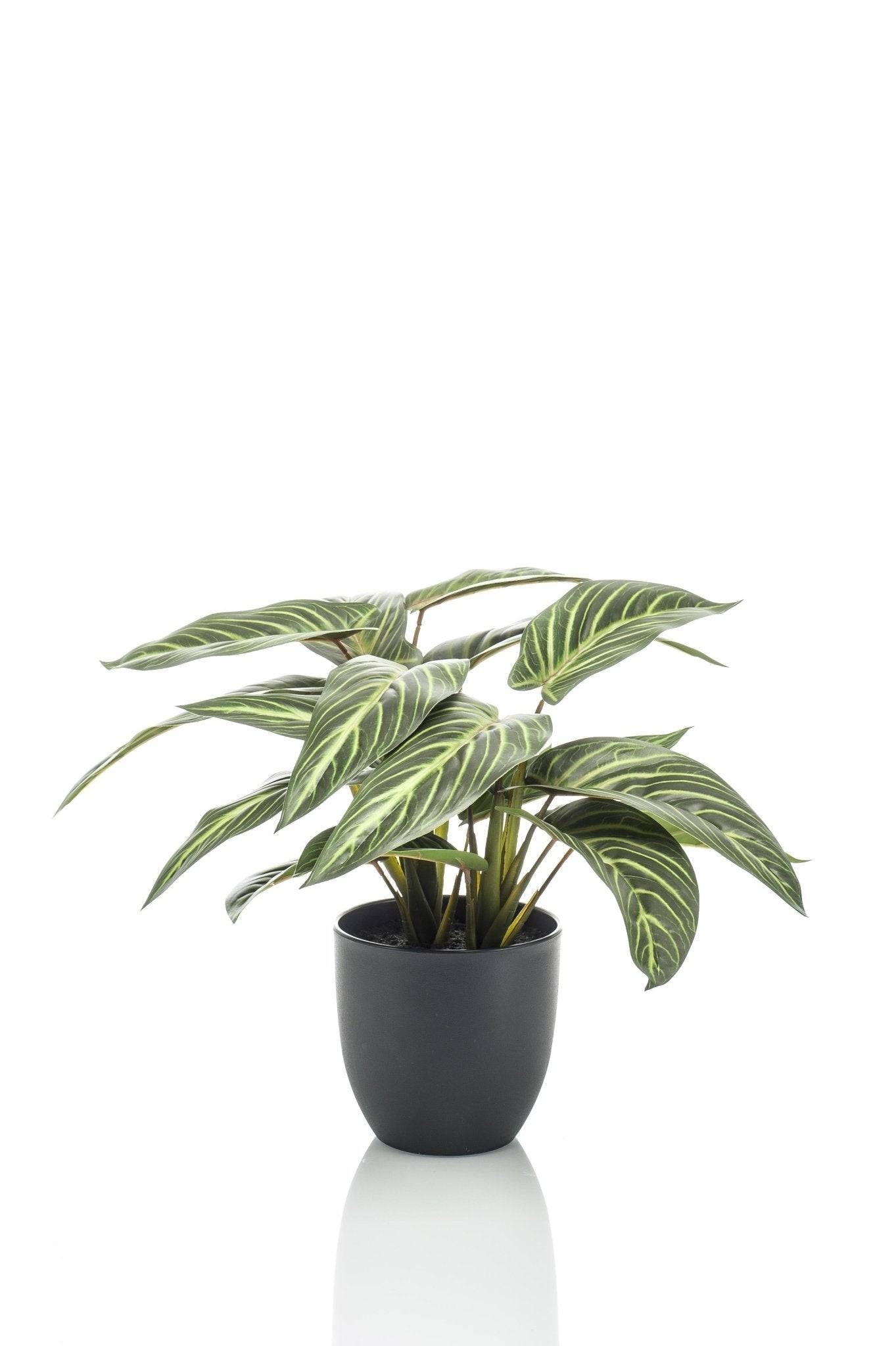 La Green Touch - Calathea Zebrina plante artificielle - h38cm, Ø15cm- La Green Touch - Imagen 6