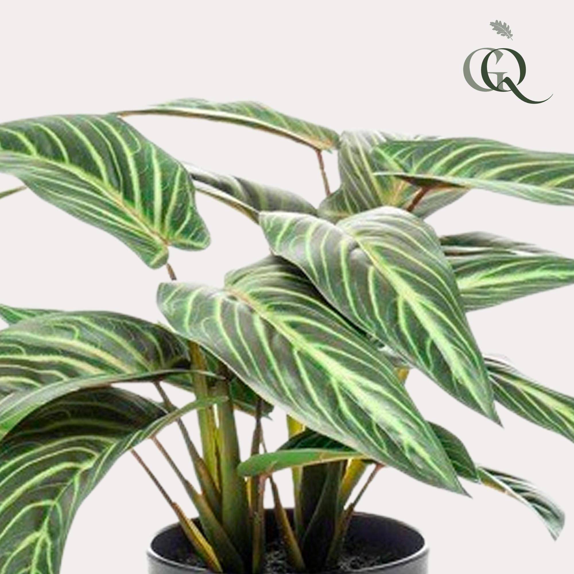 La Green Touch - Calathea Zebrina plante artificielle - h38cm, Ø15cm- La Green Touch - Imagen 2