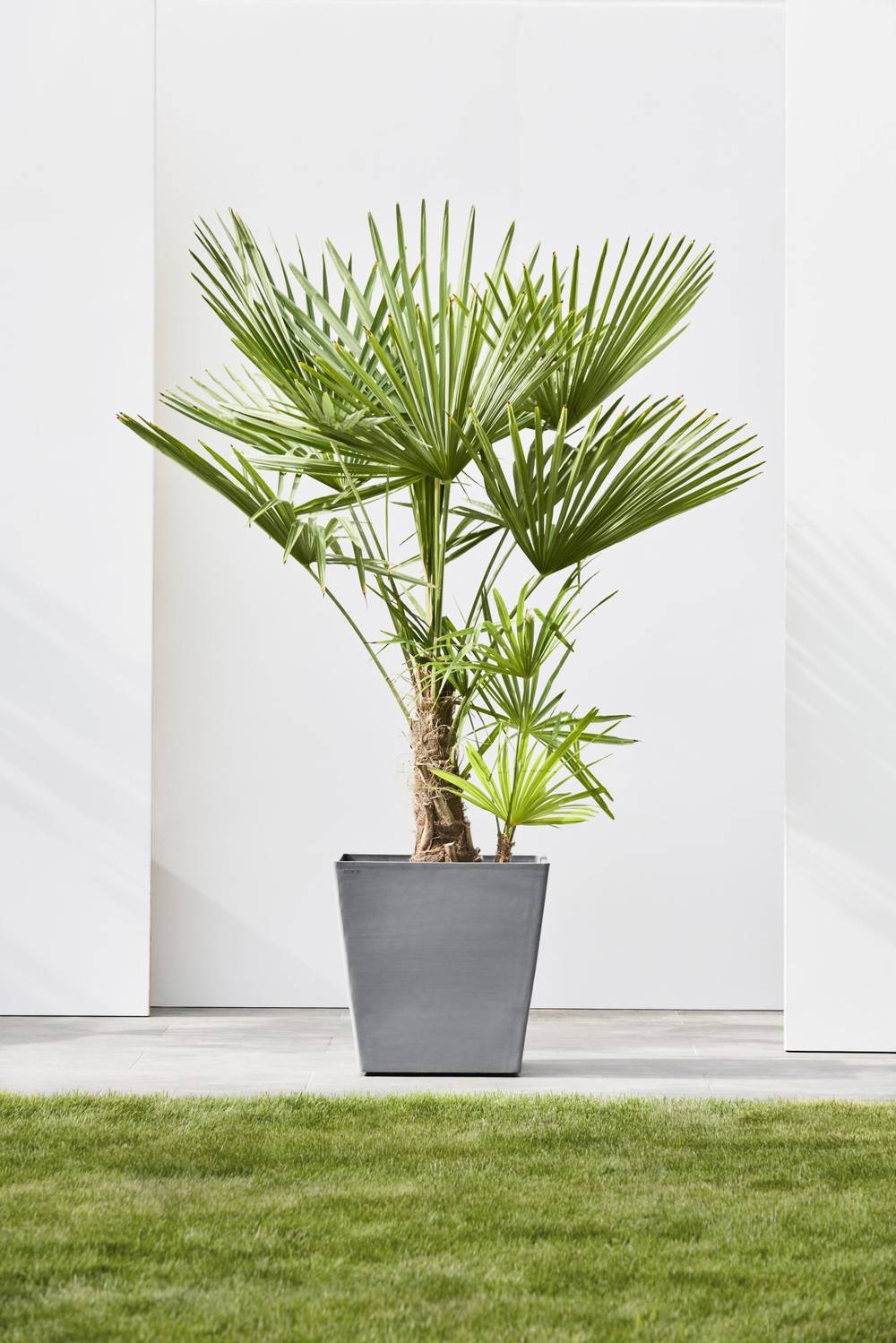 Ecopots - Grand pot sur roues Rotterdam 50 Gris - 50 x 50 x H. 49,2 cm - 76,3 L ECOPOTS - Imagen 4