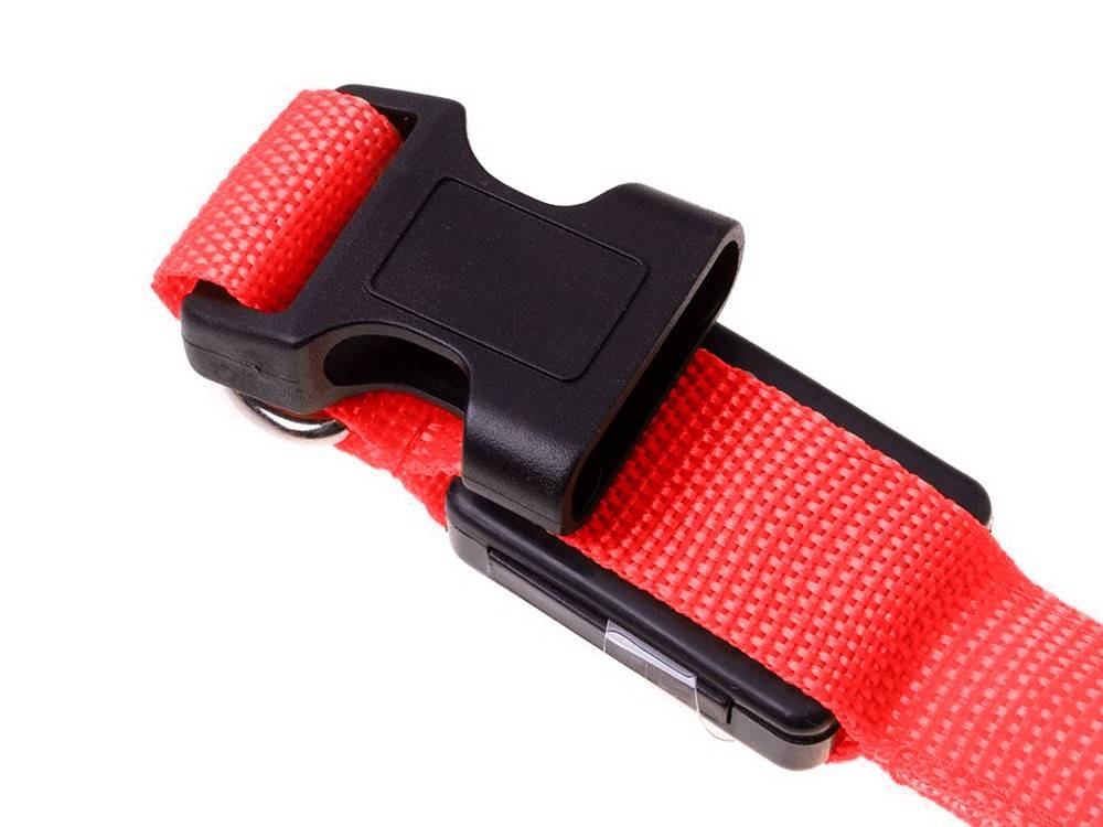 Collier d'éclairage led pour chiens et chats adjustable 59cm - Image 3