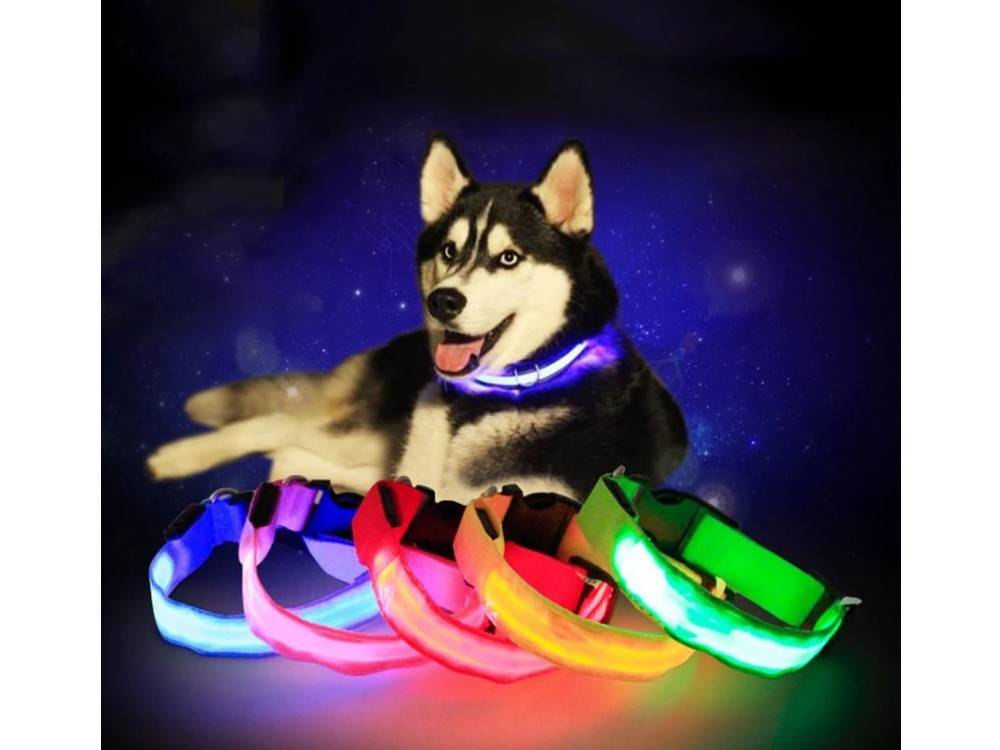 Collier d'éclairage led pour chiens et chats adjustable 59cm - Image 7