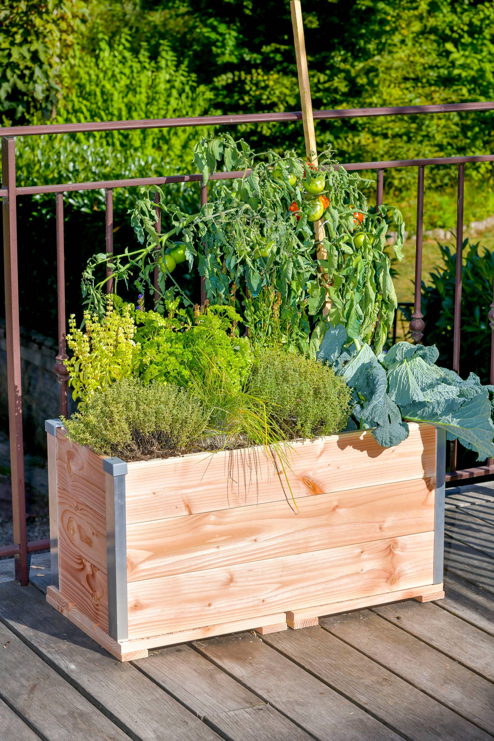 Mon Petit Potager - Bac Jardinière Design - Bois Douglas non traité - 75 x 35 x H36cm - mon PETIT POTAGER - Image 2