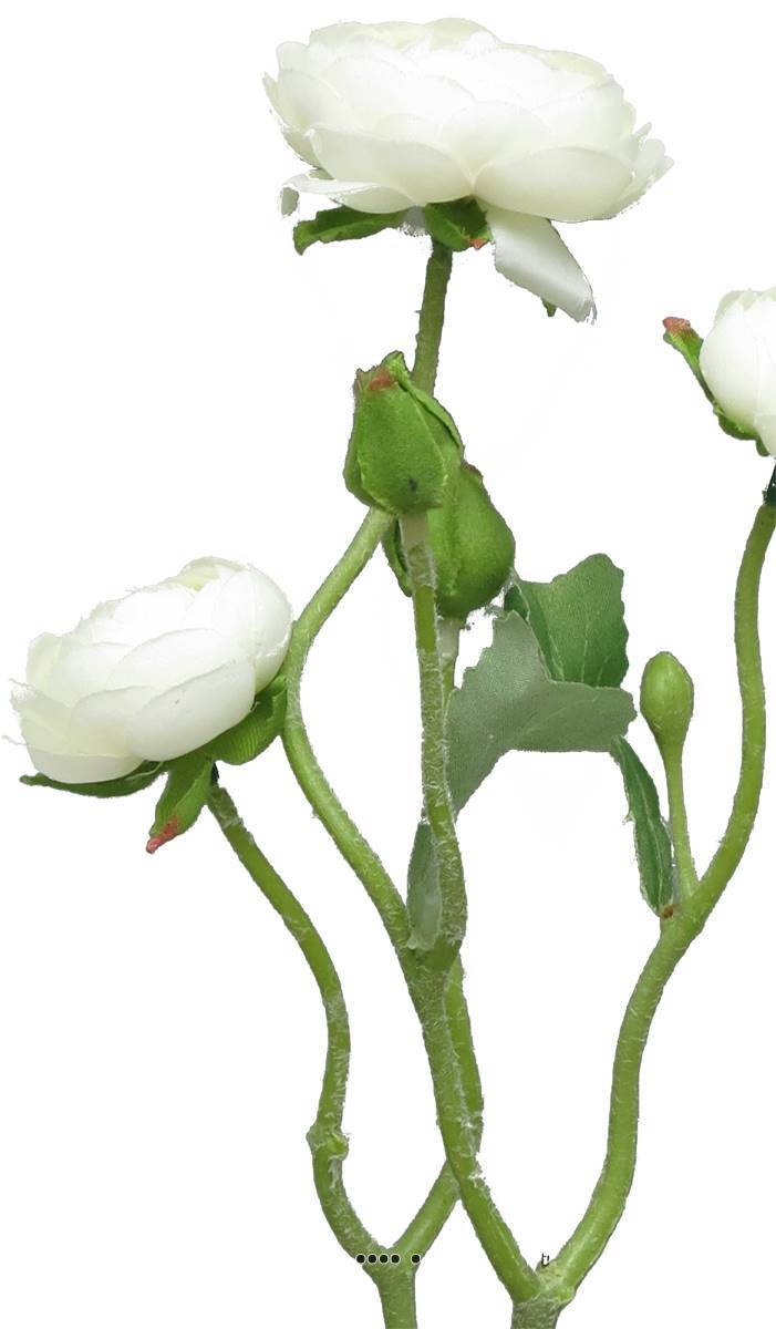 Artificielles - Renoncule factice en tige 2 ramures 3 grandes têtes H48cm Crème - BEST - couleur: Crème - Imagen 3