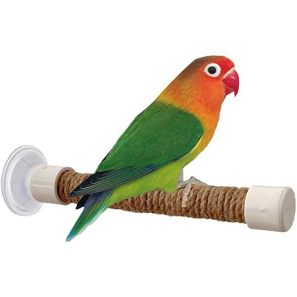 DtopbuyAge - Perchoir Ventouse Accessoire Oiseaux - Image 1