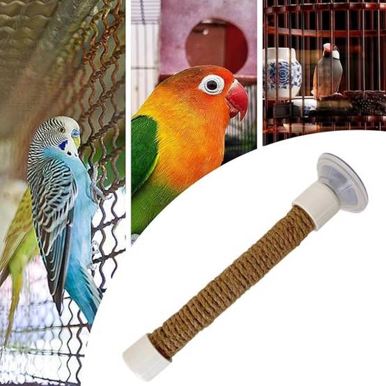 DtopbuyAge - Perchoir Ventouse Accessoire Oiseaux - Image 3