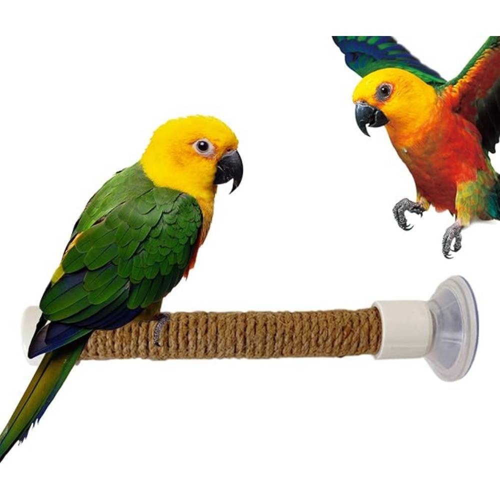 DtopbuyAge - Perchoir Ventouse Accessoire Oiseaux - Image 5