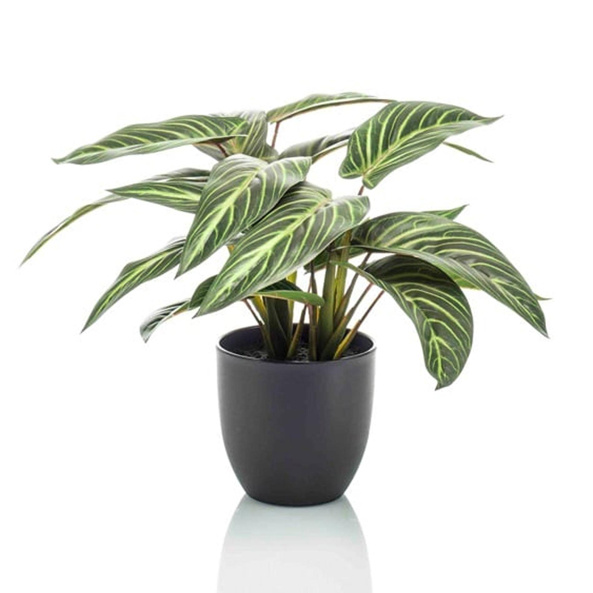 Plante Artificielle Calathea Zebrina Réaliste Pot Noir Déco Intérieur 42 cm - ComfortXL Green Living - Image 1
