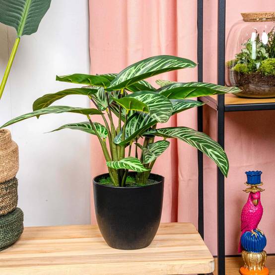 Plante Artificielle Calathea Zebrina Réaliste Pot Noir Déco Intérieur 42 cm - ComfortXL Green Living - Image 2